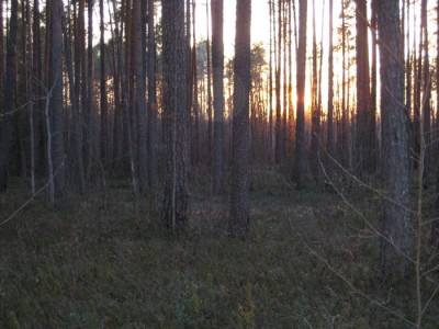 IMG_0786.jpg
