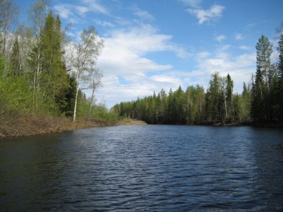 IMG_3782.jpg