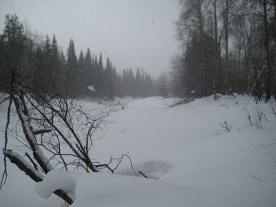 IMG_5917.jpg