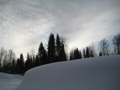 IMG_5806.jpg