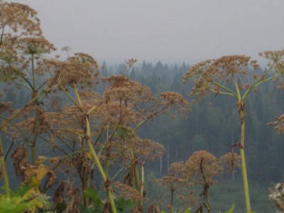IMG_7486.jpg