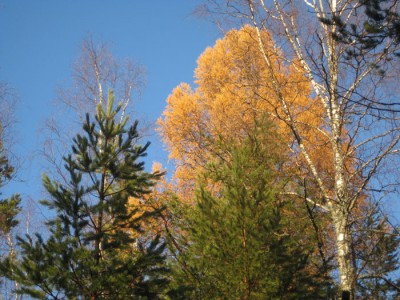 IMG_8591.jpg